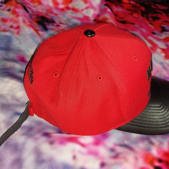 Toronto Raptors Hat - Picture 4 of 5